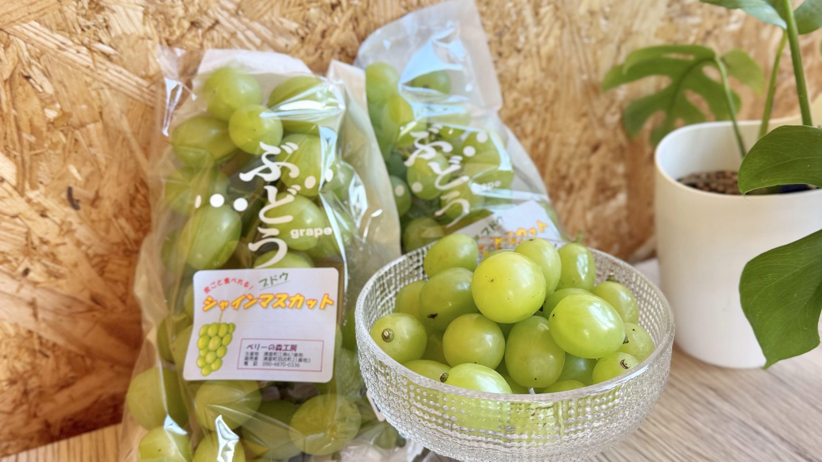 【お知らせ】北海道清里産シャインマスカット販売開始しました🍇