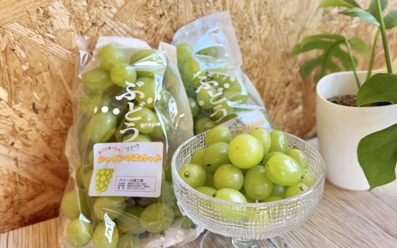 【お知らせ】北海道清里産シャインマスカット販売開始しました🍇